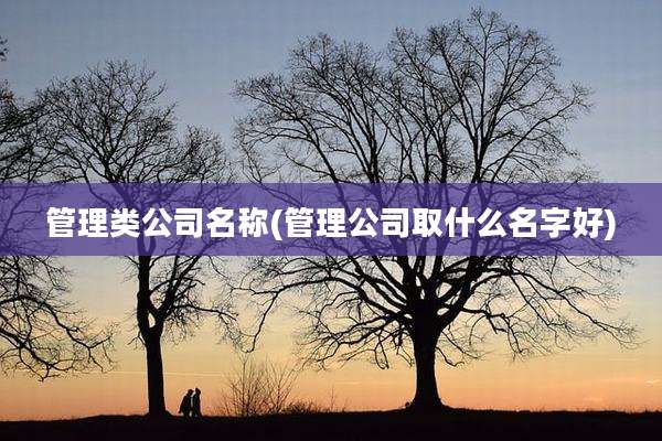 管理类公司名称(管理公司取什么名字好)