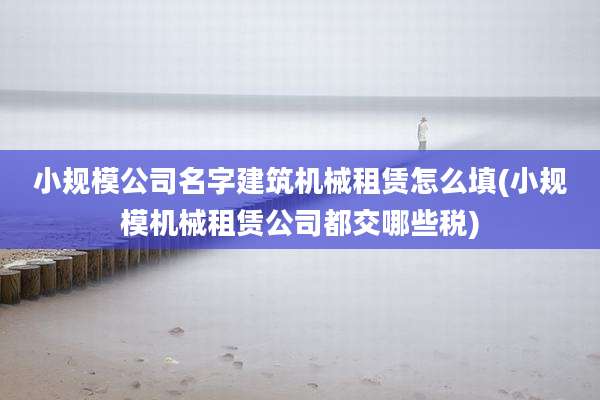 小规模公司名字建筑机械租赁怎么填(小规模机械租赁公司都交哪些税)