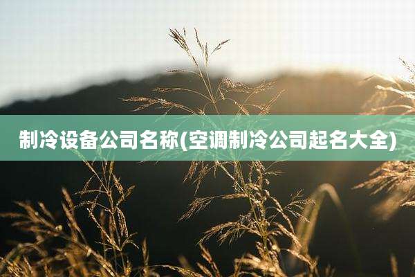 制冷设备公司名称(空调制冷公司起名大全)