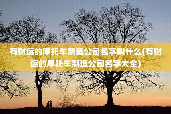 有财运的摩托车制造公司名字叫什么(有财运的摩托车制造公司名字大全)