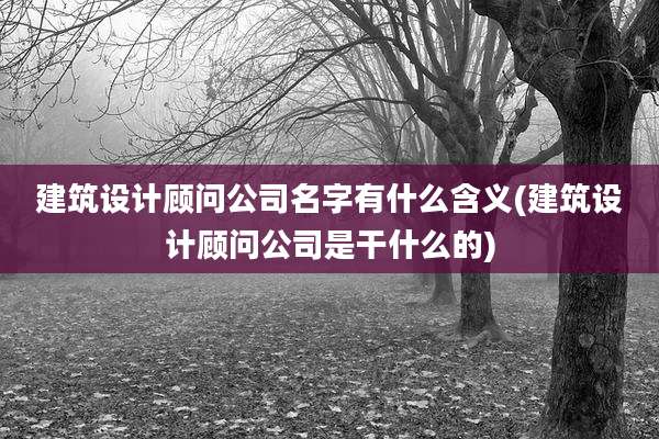 建筑设计顾问公司名字有什么含义(建筑设计顾问公司是干什么的)
