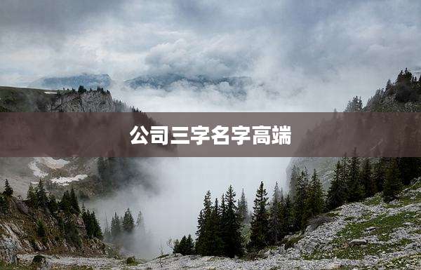 公司三字名字高端