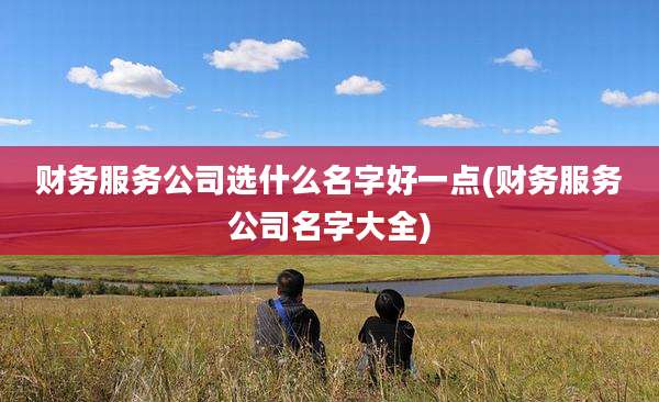 财务服务公司选什么名字好一点(财务服务公司名字大全)