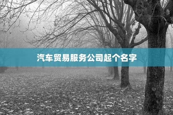 汽车贸易服务公司起个名字