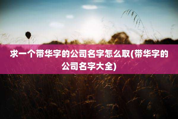 求一个带华字的公司名字怎么取(带华字的公司名字大全)