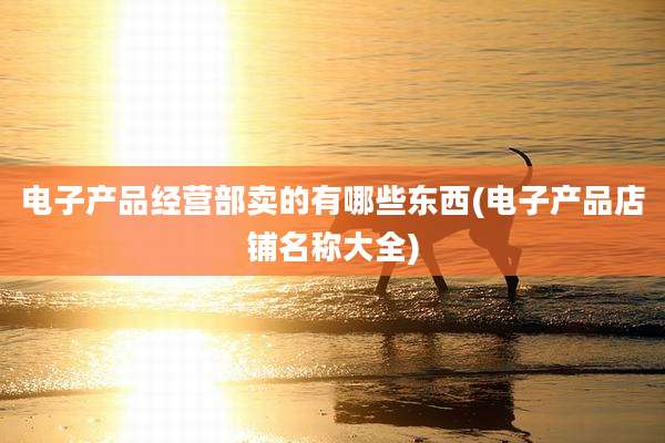 电子产品经营部卖的有哪些东西(电子产品店铺名称大全)
