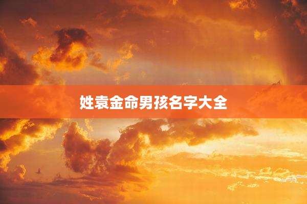 姓袁金命男孩名字大全