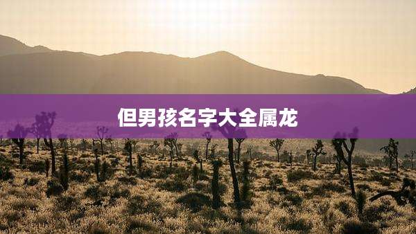 但男孩名字大全属龙