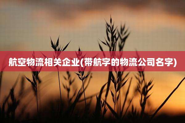 航空物流相关企业(带航字的物流公司名字)