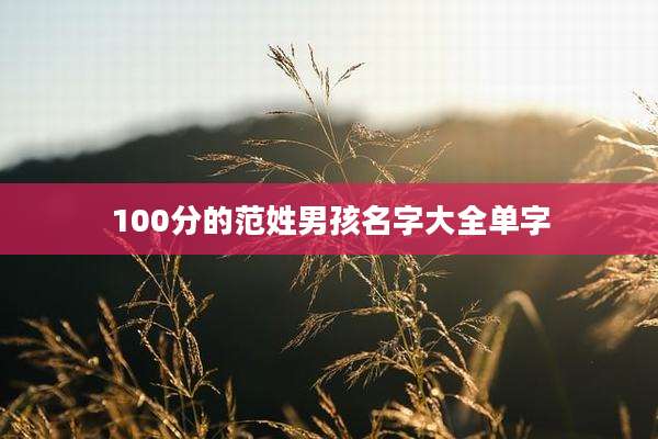 100分的范姓男孩名字大全单字