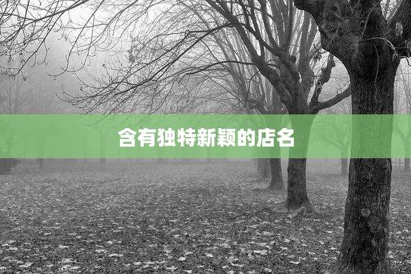 含有独特新颖的店名