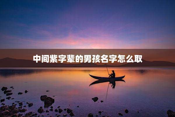 中间紫字辈的男孩名字怎么取
