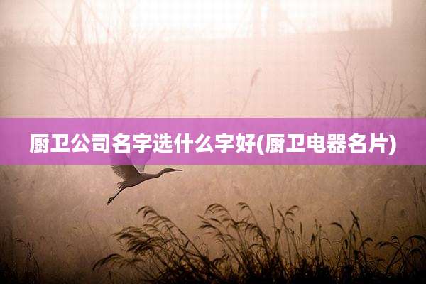 厨卫公司名字选什么字好(厨卫电器名片)