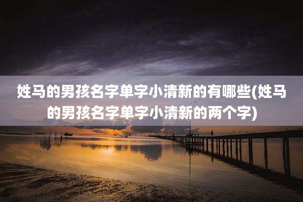 姓马的男孩名字单字小清新的有哪些(姓马的男孩名字单字小清新的两个字)