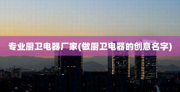 专业厨卫电器厂家(做厨卫电器的创意名字)