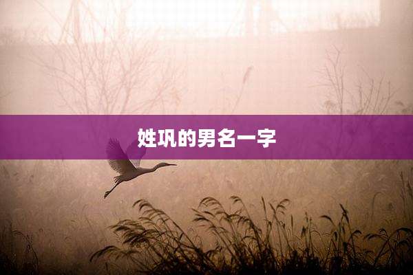 姓巩的男名一字