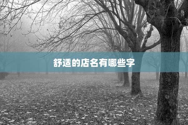舒适的店名有哪些字