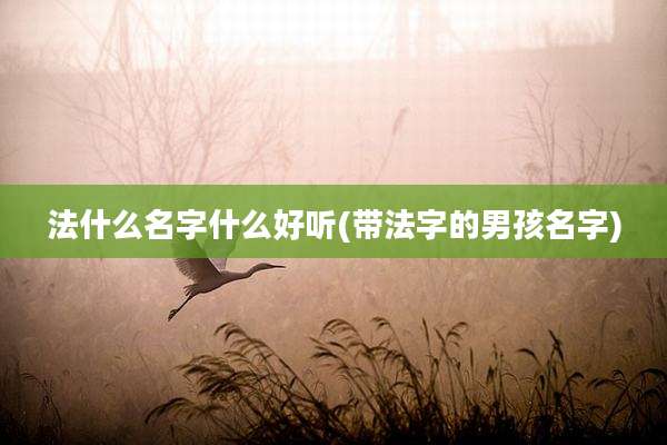 法什么名字什么好听(带法字的男孩名字)