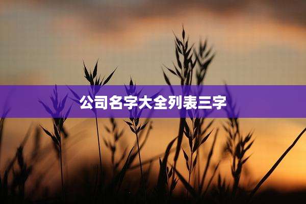 公司名字大全列表三字