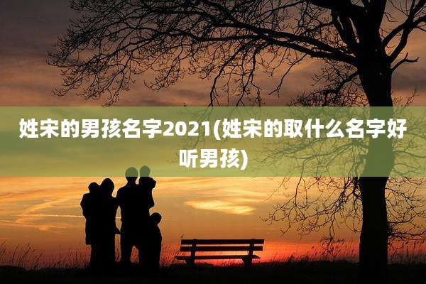 姓宋的男孩名字2021(姓宋的取什么名字好听男孩)