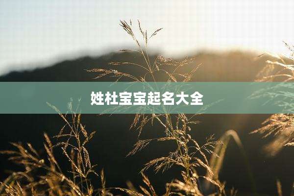 姓杜宝宝起名大全
