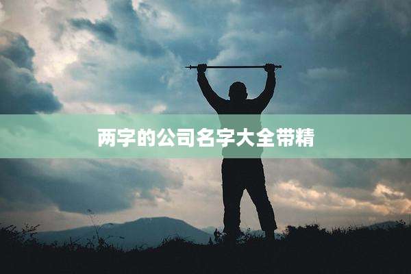 两字的公司名字大全带精