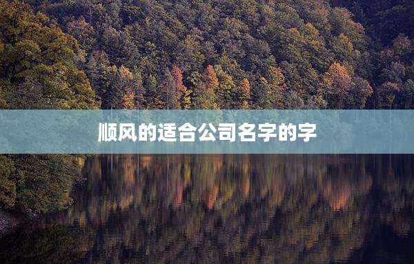 顺风的适合公司名字的字