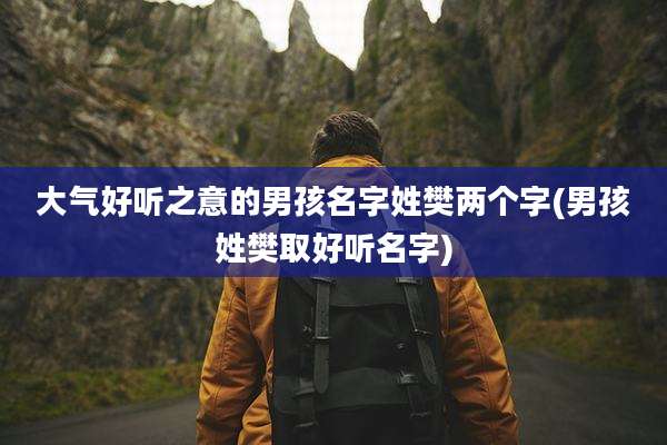 大气好听之意的男孩名字姓樊两个字(男孩姓樊取好听名字)