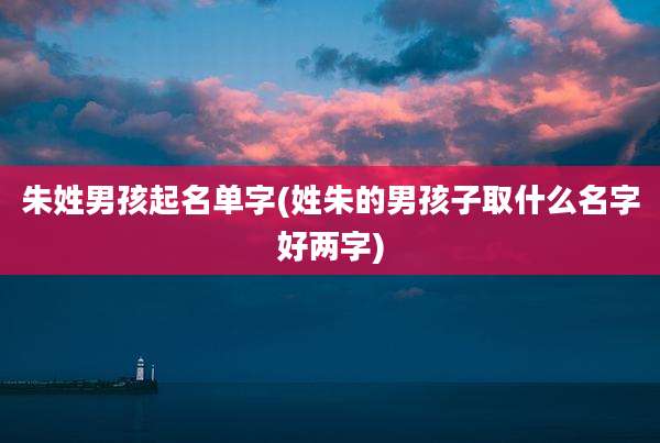 朱姓男孩起名单字(姓朱的男孩子取什么名字好两字)