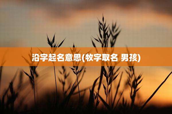 沿字起名意思(牧字取名 男孩)