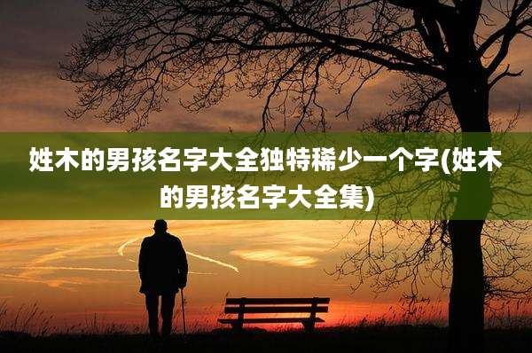 姓木的男孩名字大全独特稀少一个字(姓木的男孩名字大全集)