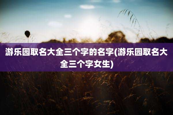 游乐园取名大全三个字的名字(游乐园取名大全三个字女生)