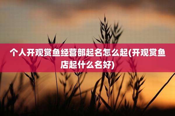 个人开观赏鱼经营部起名怎么起(开观赏鱼店起什么名好)