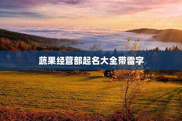 蔬果经营部起名大全带雷字
