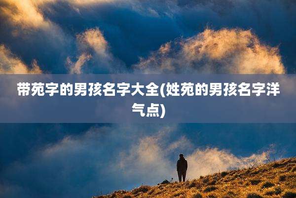 带苑字的男孩名字大全(姓苑的男孩名字洋气点)