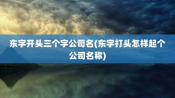 东字开头三个字公司名(东字打头怎样起个公司名称)