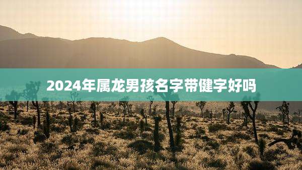 2024年属龙男孩名字带健字好吗