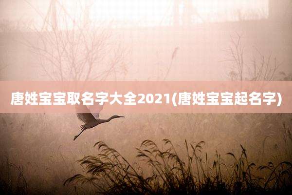唐姓宝宝取名字大全2021(唐姓宝宝起名字)