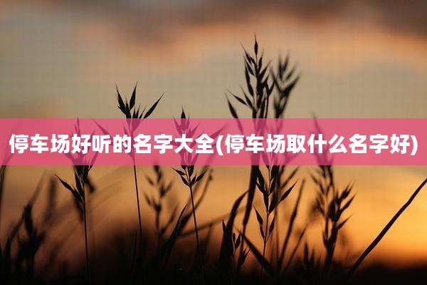 停车场好听的名字大全(停车场取什么名字好)