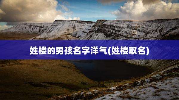 姓楼的男孩名字洋气(姓楼取名)