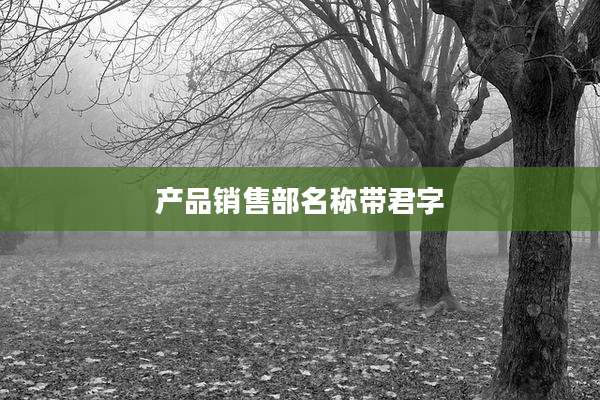 产品销售部名称带君字