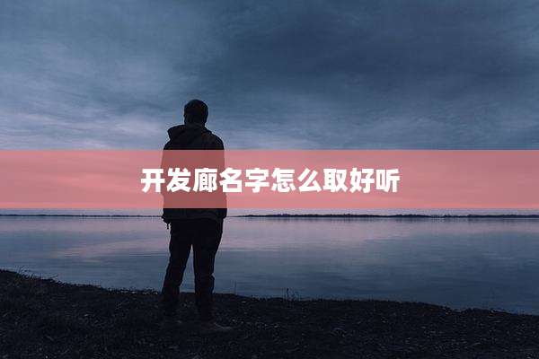 开发廊名字怎么取好听