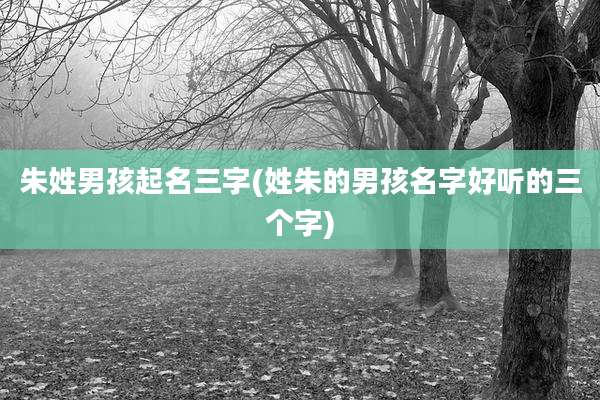 朱姓男孩起名三字(姓朱的男孩名字好听的三个字)