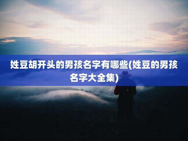 姓豆胡开头的男孩名字有哪些(姓豆的男孩名字大全集)