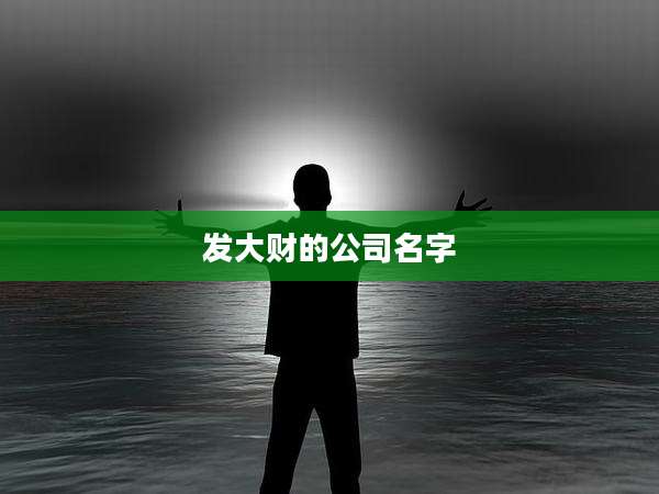 发大财的公司名字