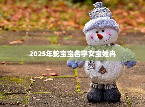 2025年蛇宝宝名字女宝姓冉