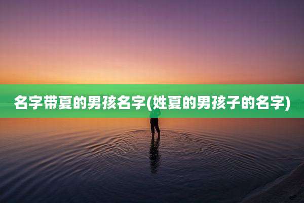 名字带夏的男孩名字(姓夏的男孩子的名字)