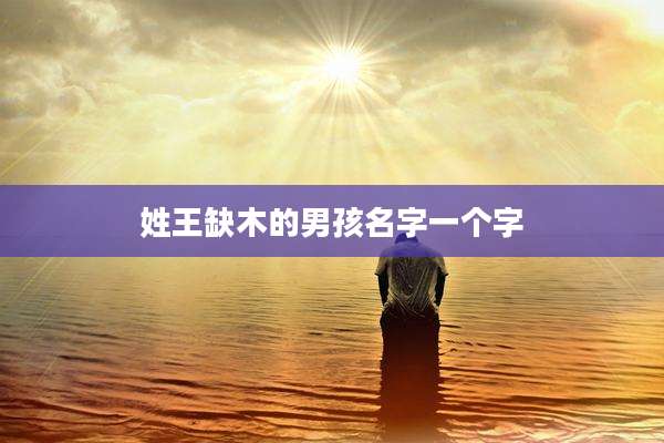 姓王缺木的男孩名字一个字