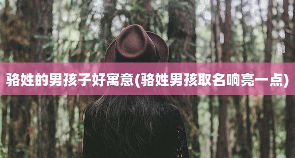 骆姓的男孩子好寓意(骆姓男孩取名响亮一点)