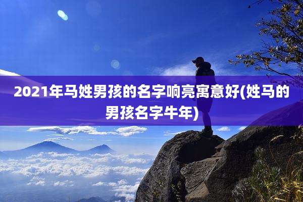 2021年马姓男孩的名字响亮寓意好(姓马的男孩名字牛年)